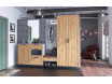 Шкаф 2-х дверный с полками и вешалкой - ЛД 672.020.Dgold - фабрика мебели Любимый дом